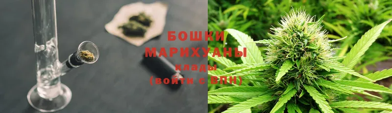 Бошки Шишки THC 21%  Тарко-Сале 